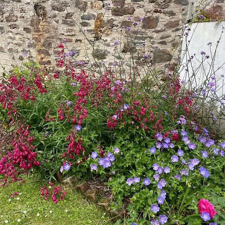 Penarwyn House Par